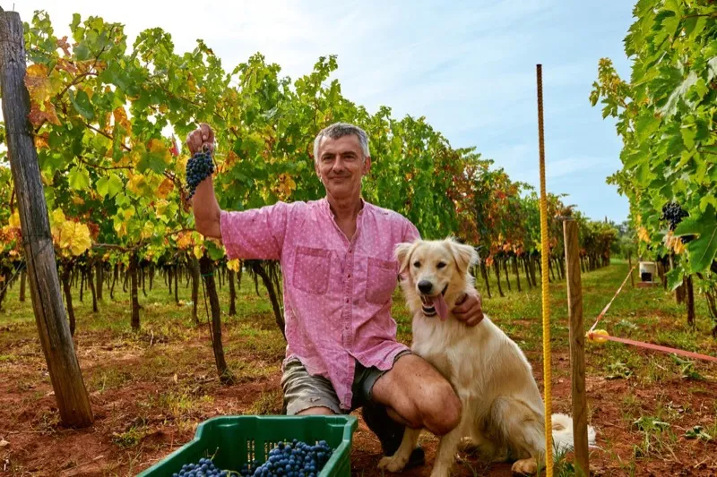 Maka - legendarni vinar