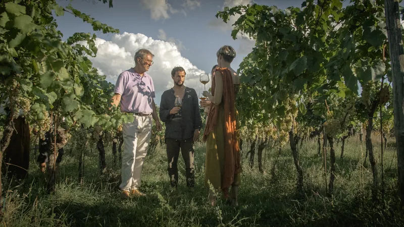 degustacija u vinogradu