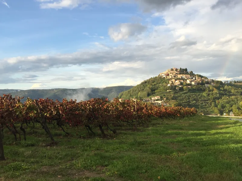 vinogradi uz gradić na brdu